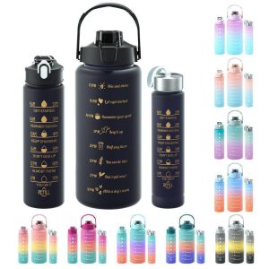 3 in 1 motivational bottle
